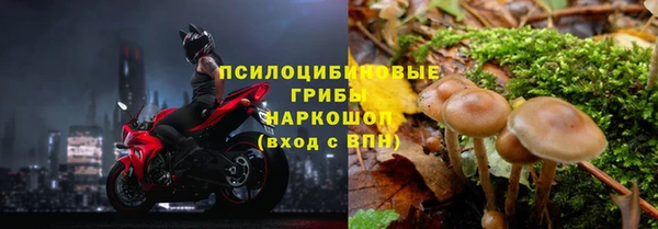 apvp Балабаново