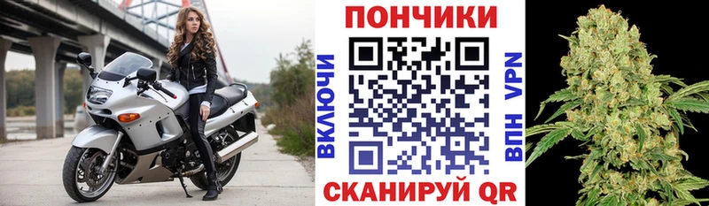 Бошки Шишки ГИДРОПОН Бор
